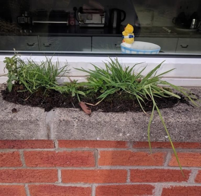 Gutter clearance. A little trick for saving money on home maintenance