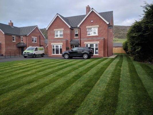stripes mown into lawn in Belfast