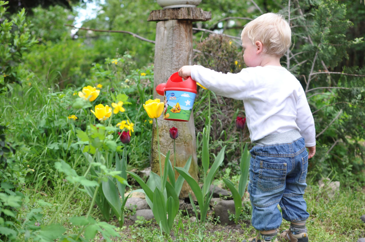 kids garden activities - child watering the plants