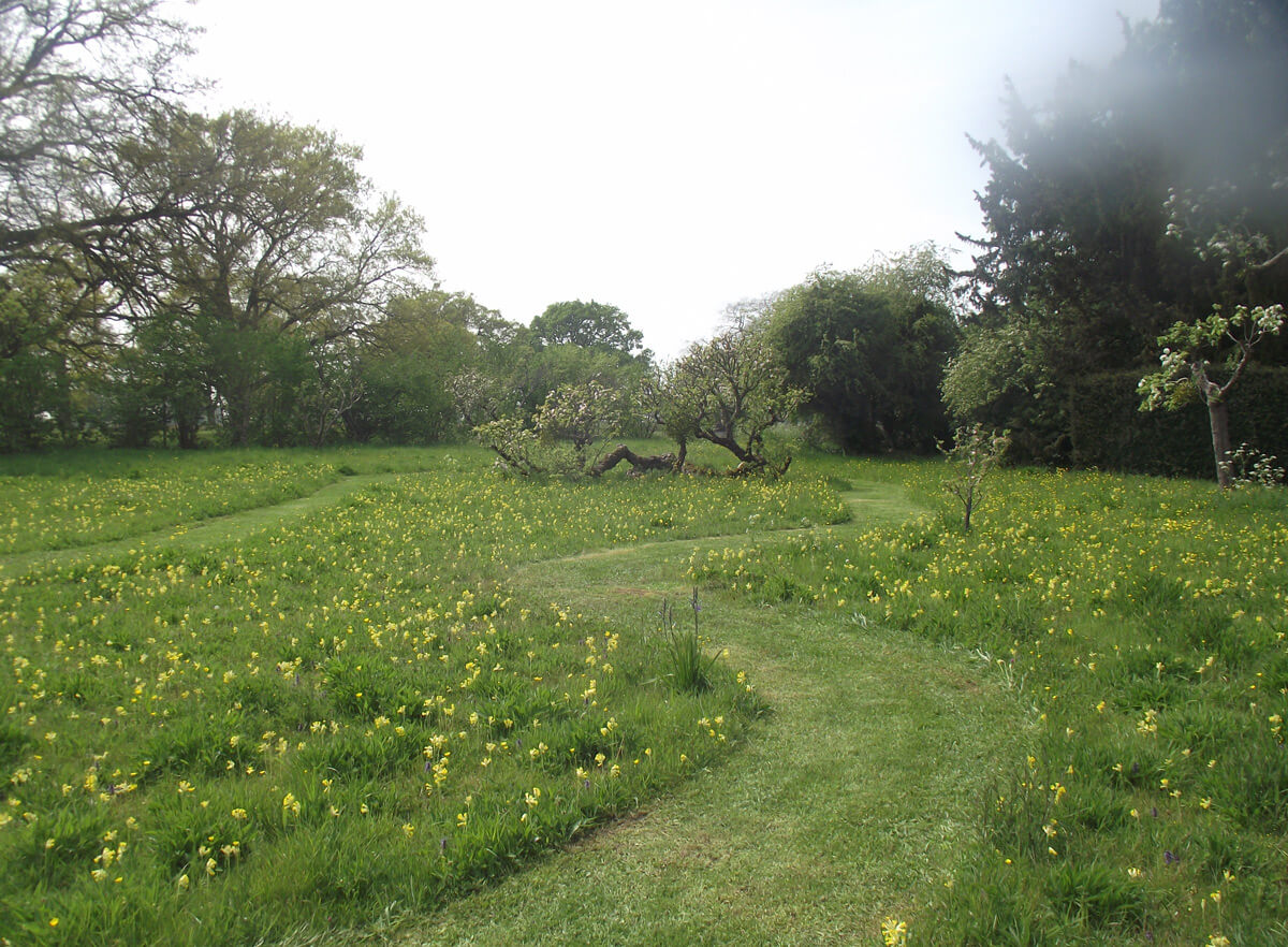 When to cut a wildflower lawn