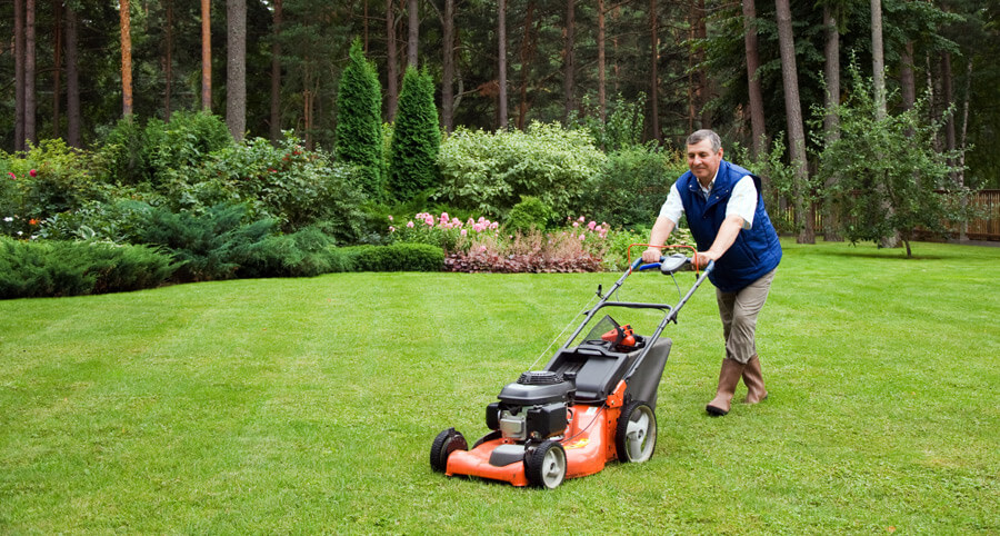 When to best sale mow your lawn