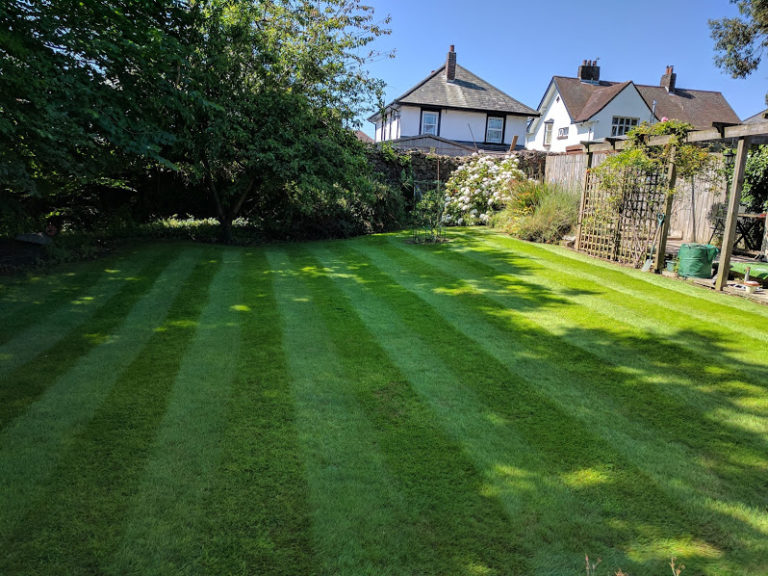 How To Kill Moss In Your Lawn A Step By Step Guide Premier Lawns