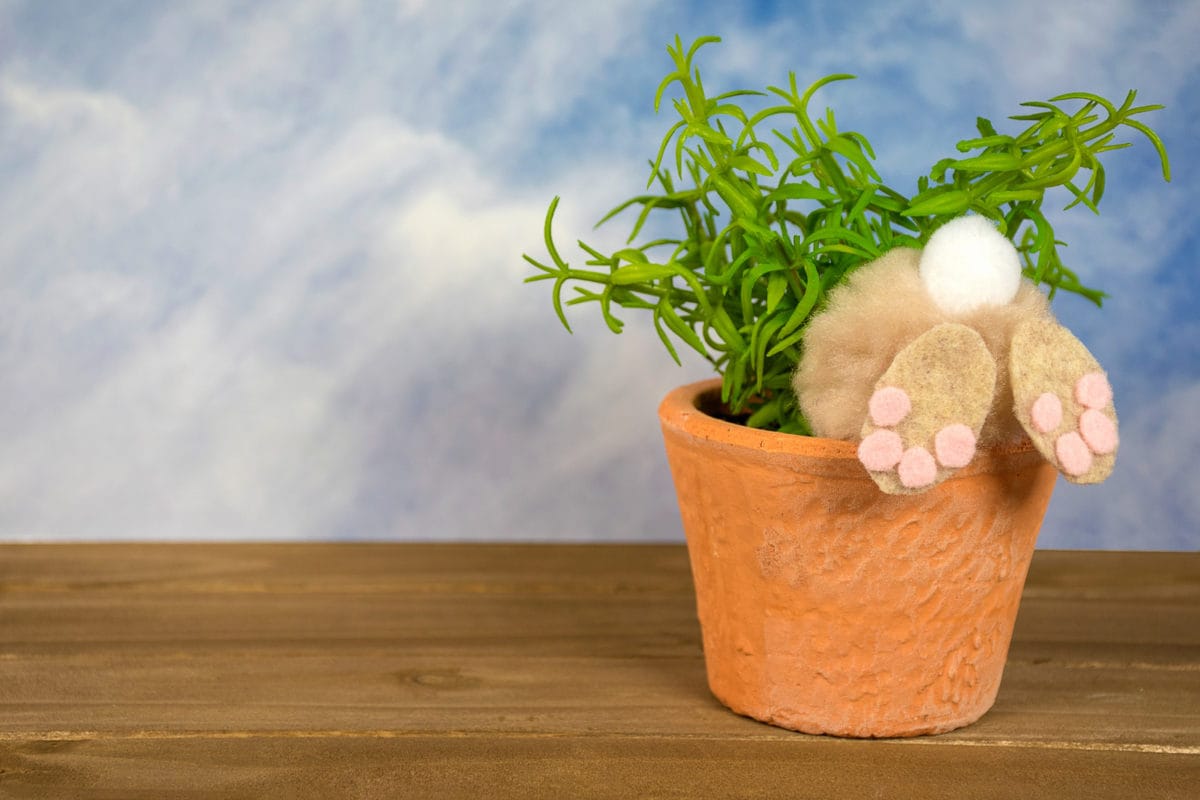 There are some really fun craft Easter garden activities such as this bunny in a flower pot.