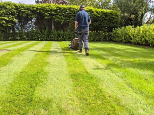 Stripy lawn from Premier Lawns grass cutting service.