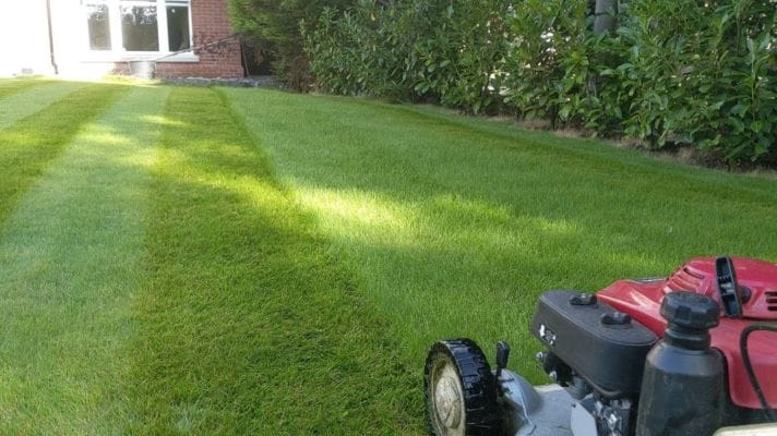 Our lawn mowing and grass cutting services leave a neat finish.