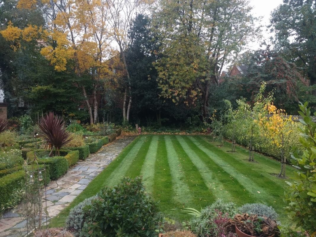 late autumn lawn with stripes, surrounded by trees and shrubs to illustrate November lawn care blog