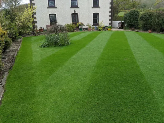 Lawn mowing and grass cutting service by Premier Lawns.