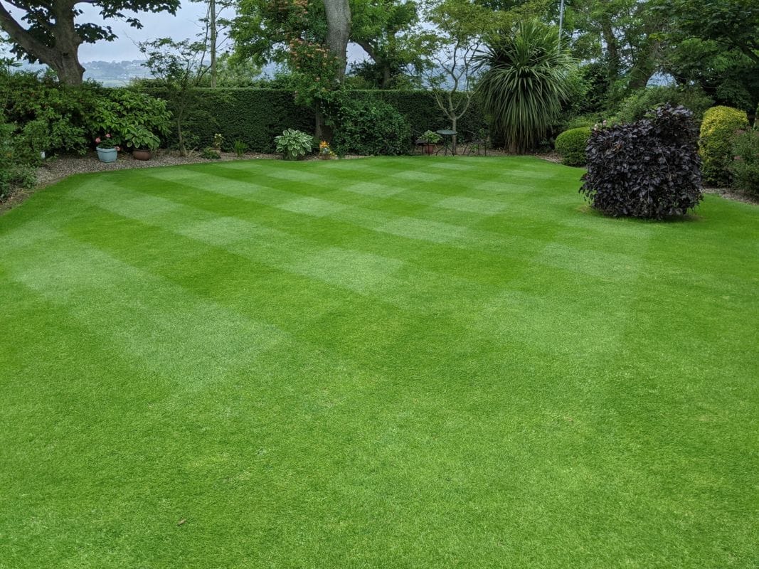 Lawn care deals for beginners