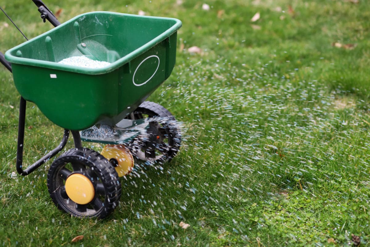 green spreader applying lawn fertiliser