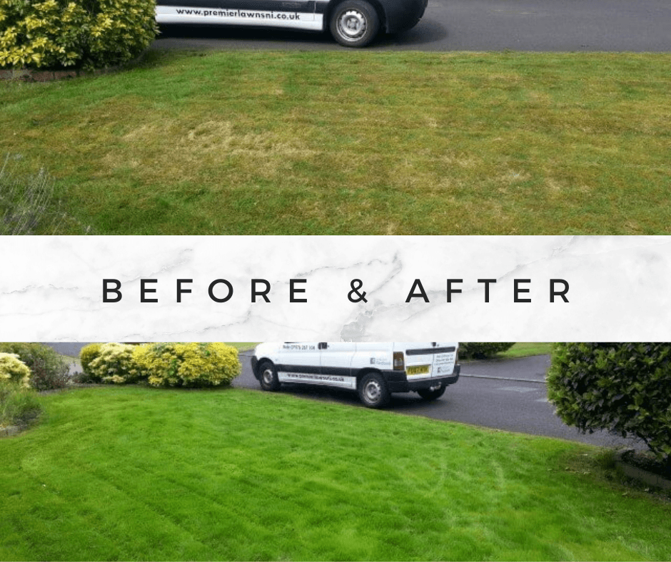 before and after renovating an ugly lawn