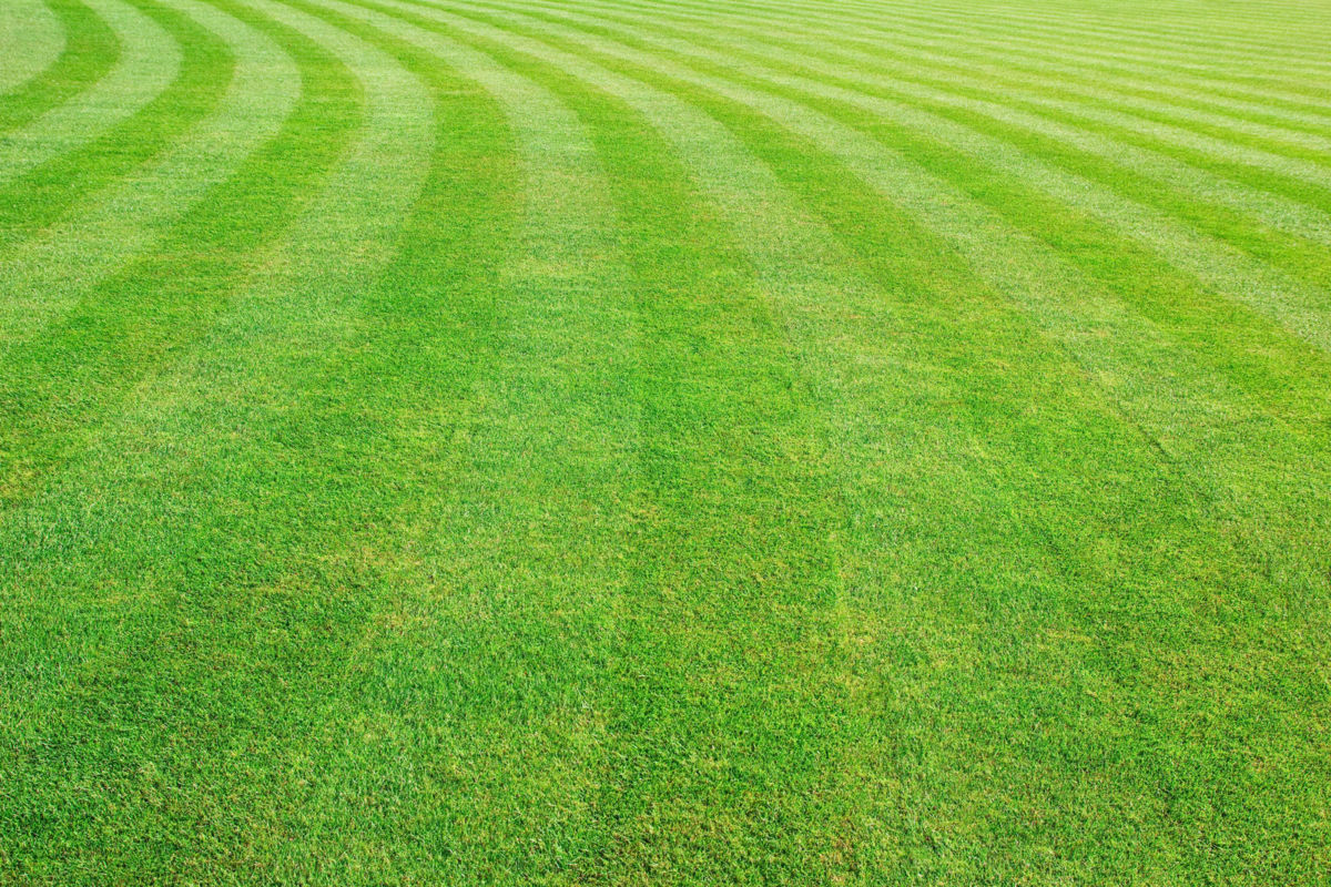 beatiful lawn achieved by following the Ten Commandments of lawn care