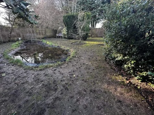 lawn errors have made a mess in this garden