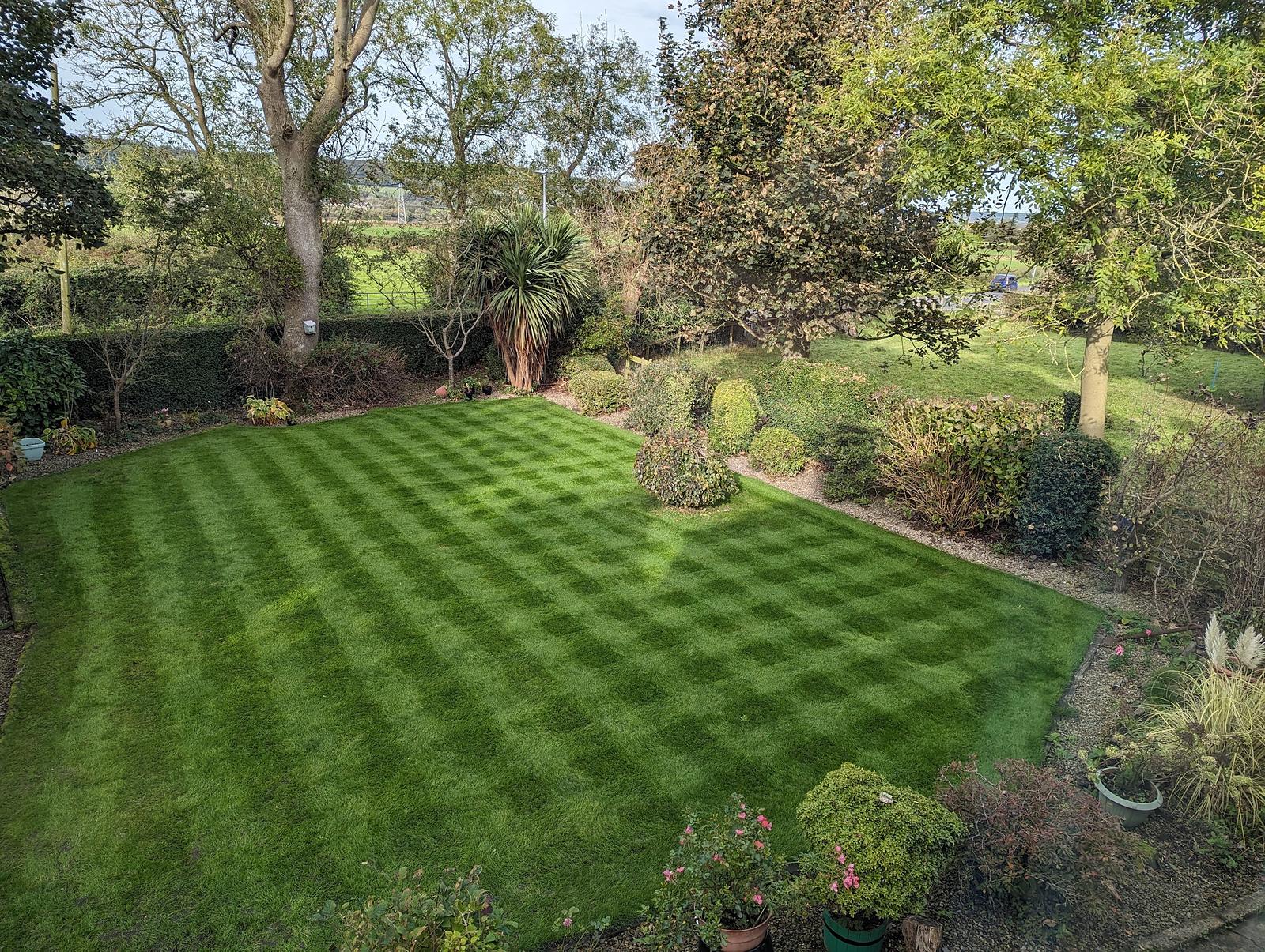 Deep green checkerboard-striped lawn in October, wrapped by borders of shrubs and trees