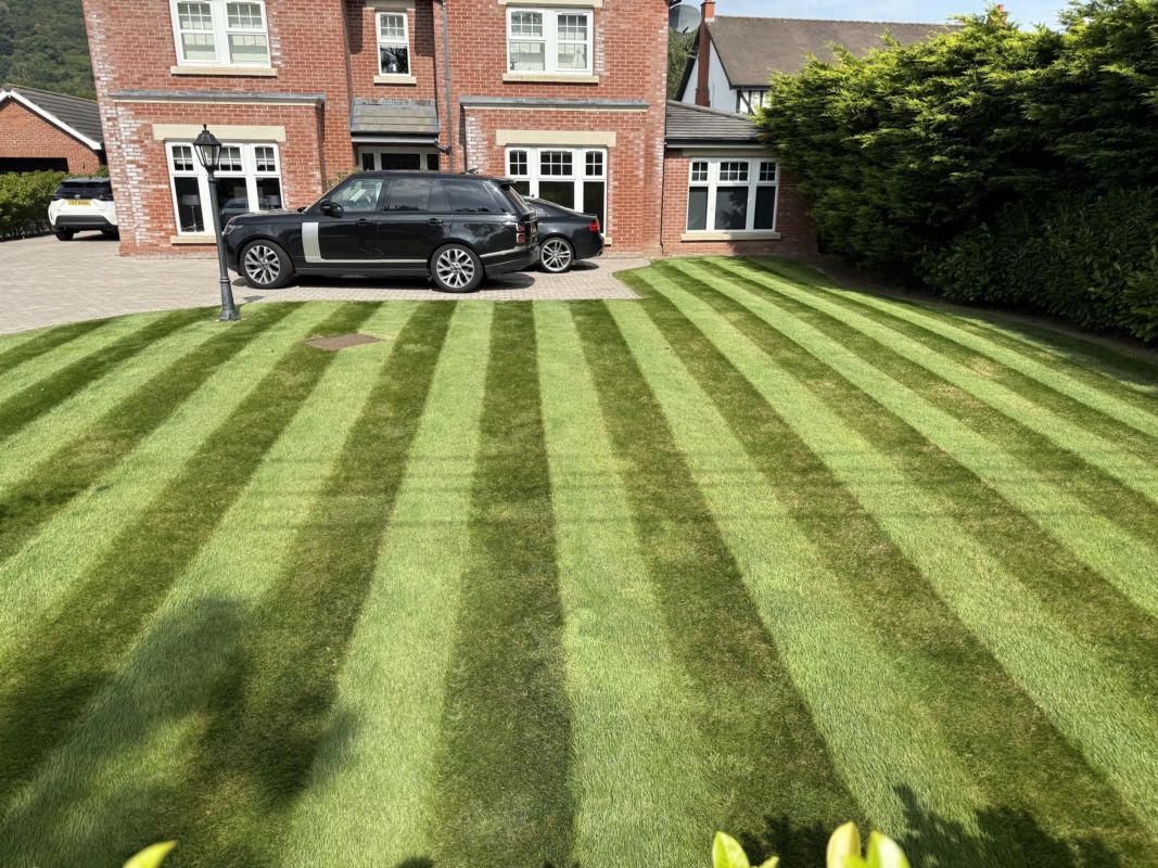 Striped front lawn in front of a red brick house