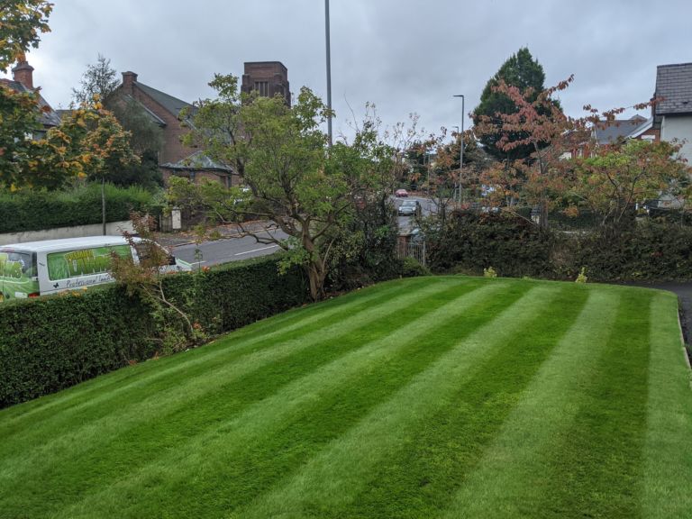 Lawn looked after by Premier Lawns