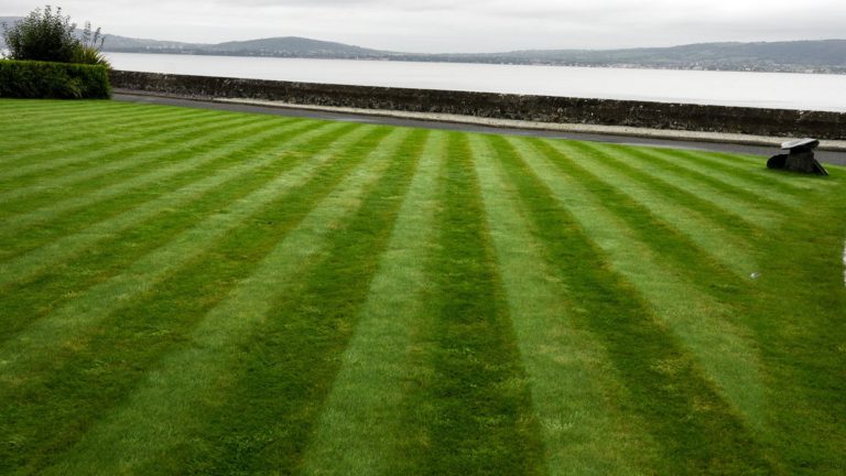 Striped lawn in Cultra, Holywood, looked after by Premier Lawns, with Belfast Lough behind