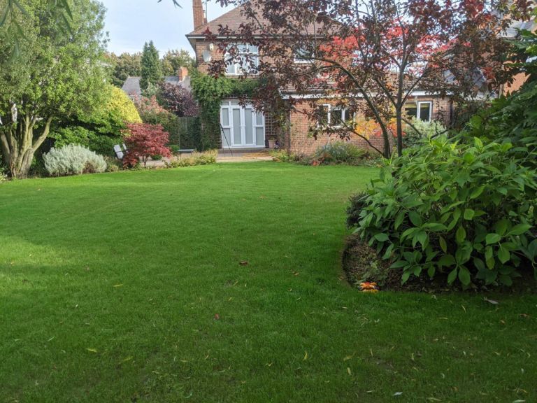 East Belfast lawn after renovation by Premier Lawns