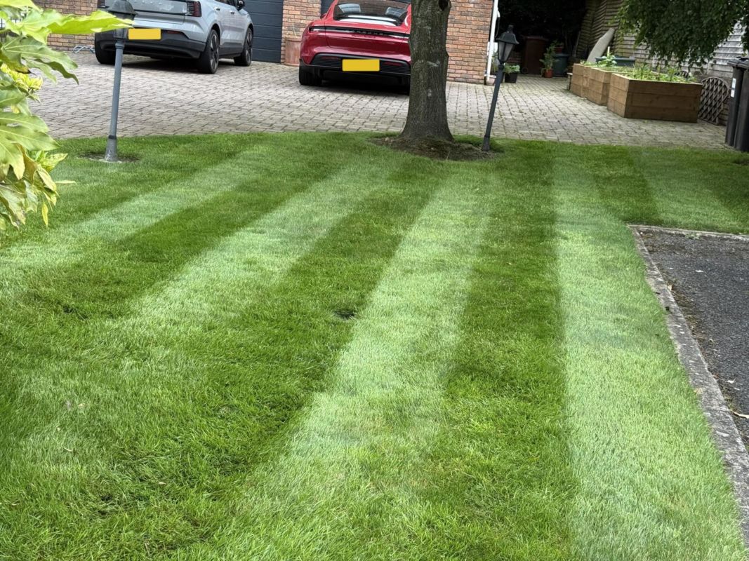 Striped front lawn in Jordanstown looked after by Premier Lawns, with a tree and a paved driveway