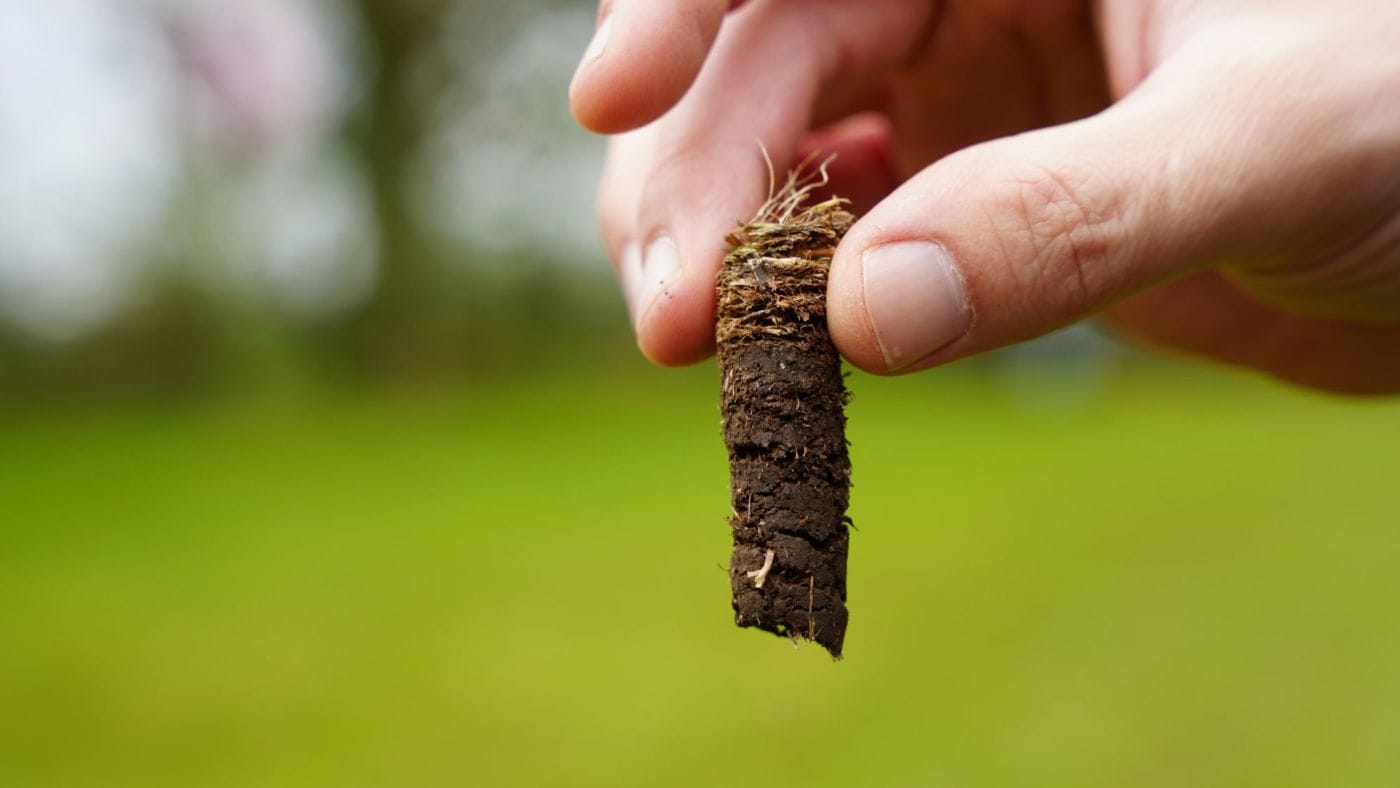 Soil core pulled from a lawn, showing the thatch layer on top and the soil underneath