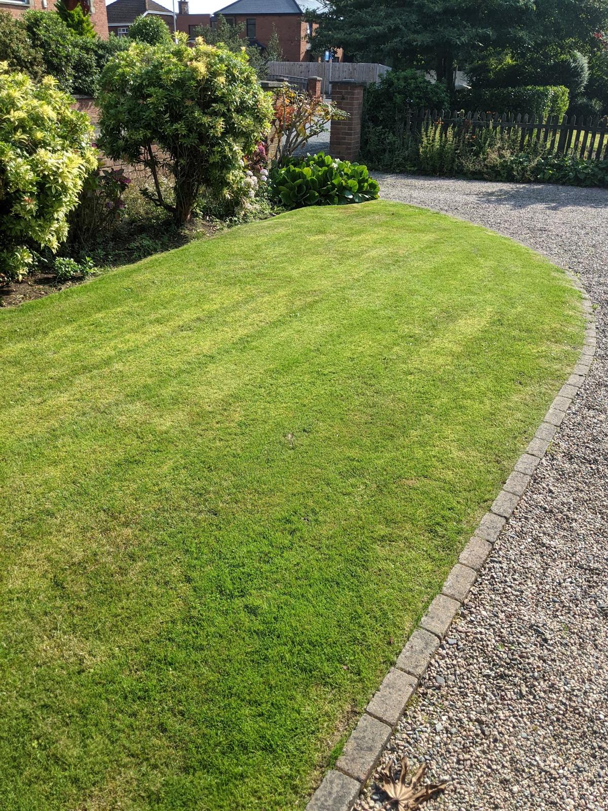 A tired front lawn in east Belfast before a full rejuvenation