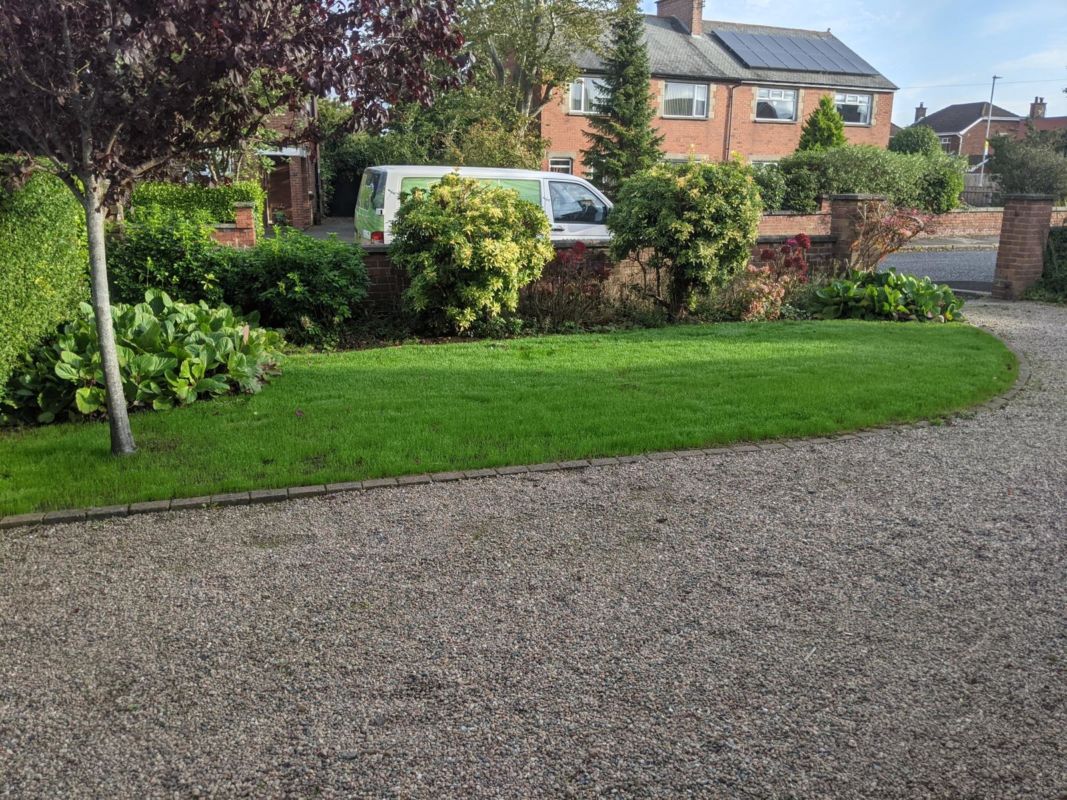 The new lawn in east Belfast after a full rejuvenation by Premier Lawns