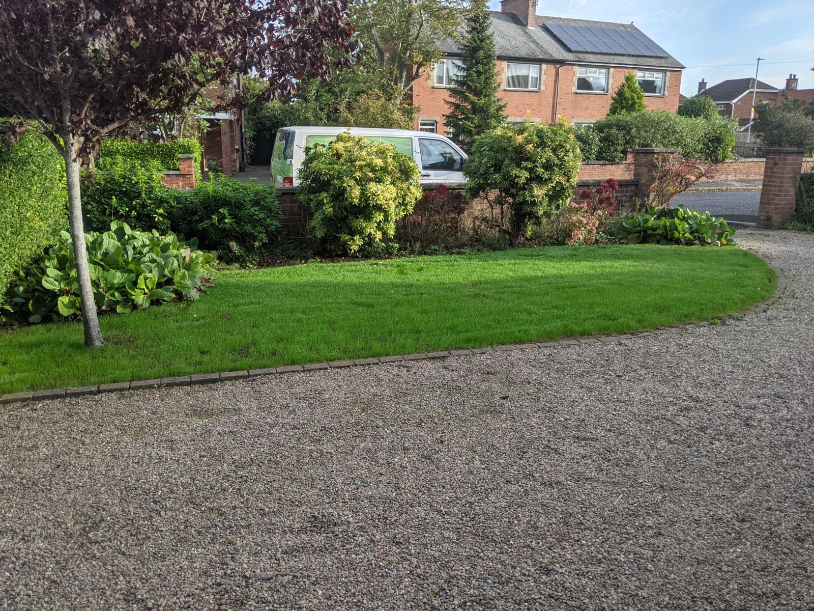 The new lawn in east Belfast after a full rejuvenation by Premier Lawns