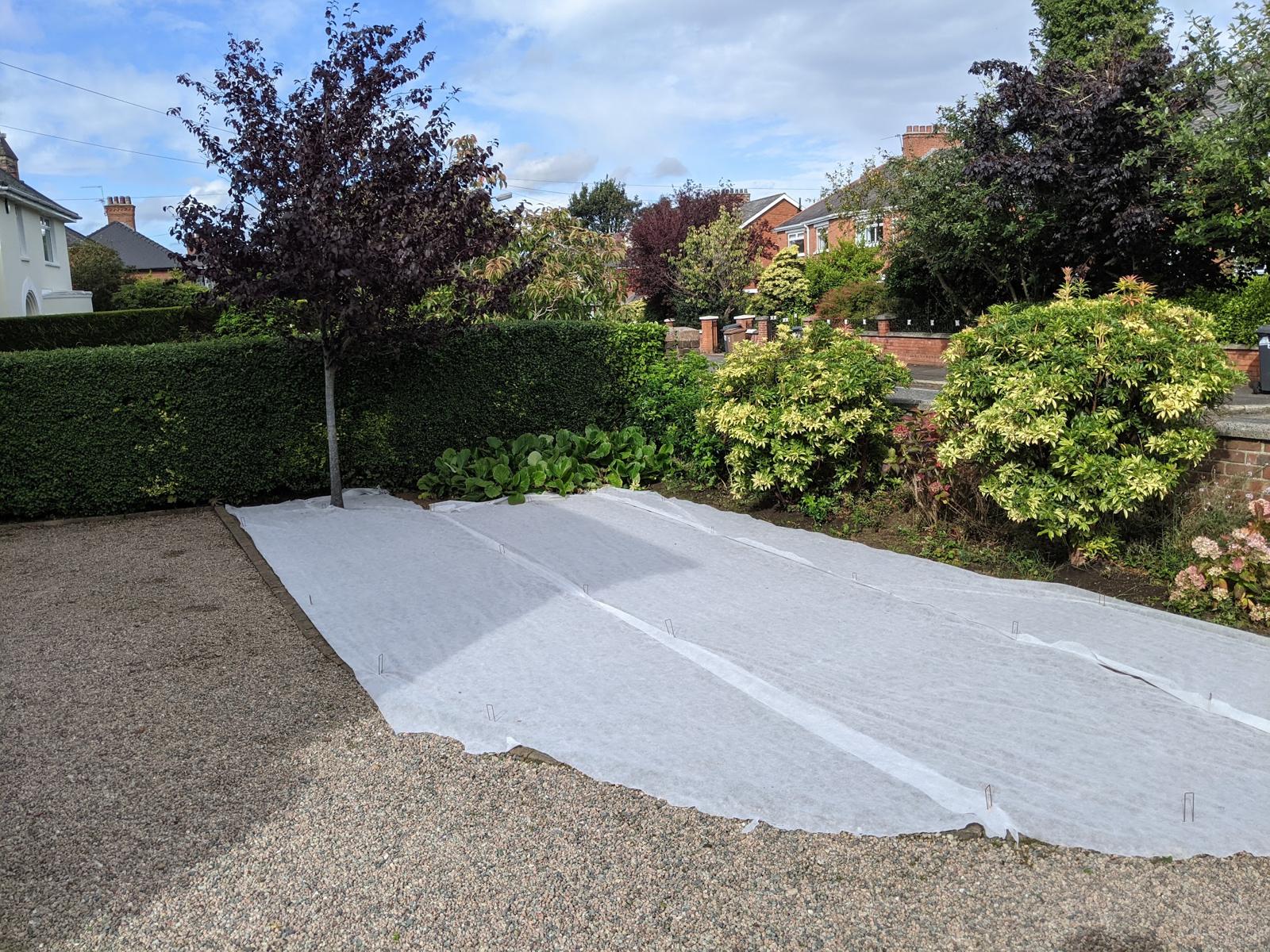 A newly seeded lawn covered in horticultural fleece beside a gravel drive