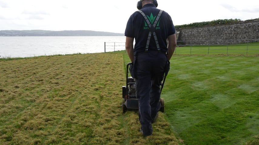Jason from Premier Lawns pushing a scarifier across a lawn, lifted thatch on one side and clean grass on the other