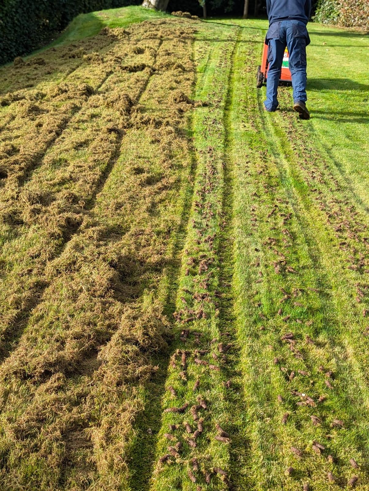 Lawn in Royal Hillsborough being hollow core aerated and scarified by Premier Lawns