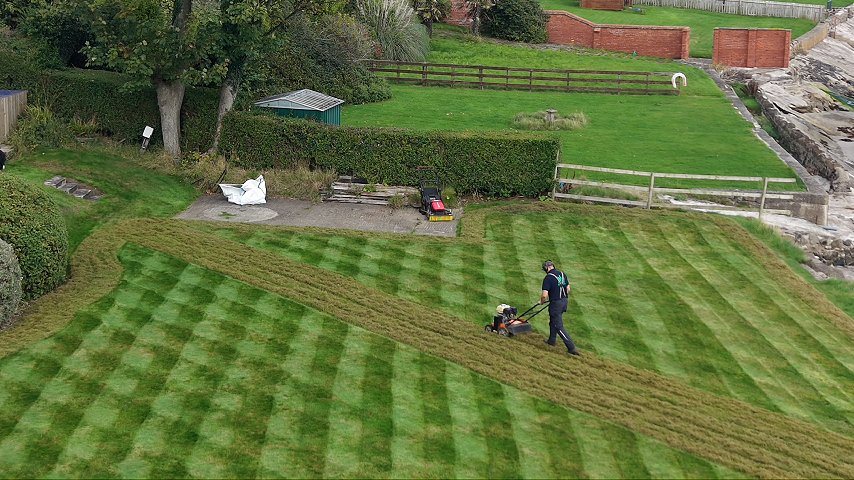 Drone view of a large lawn being scarified, with lines of lifted thatch across the grass