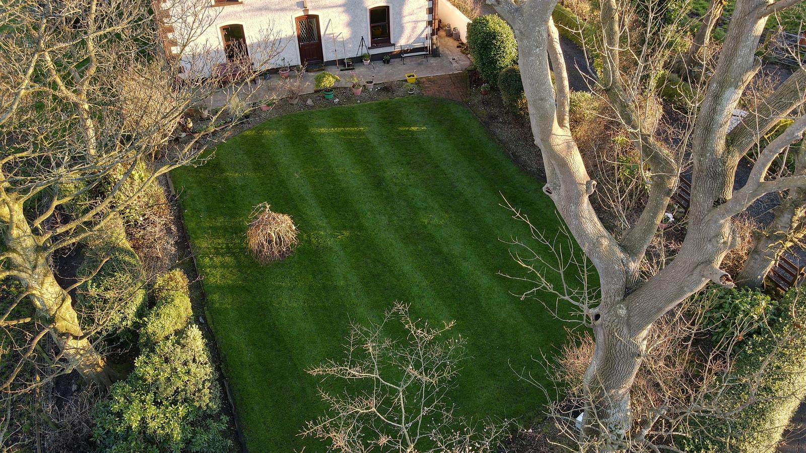 Drone view of our family lawn in winter, striped with a brush rather than a mower, still deep green under bare trees in low sun